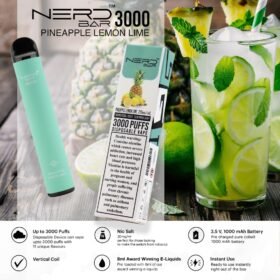 NERD™ BAR Disposable 3000Puffs