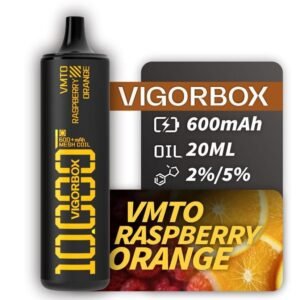 Alternative view of VIGORBOX 10000 PUFFS