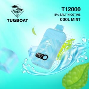 Alternative view of TUGBOAT T 12000 PUFFS
