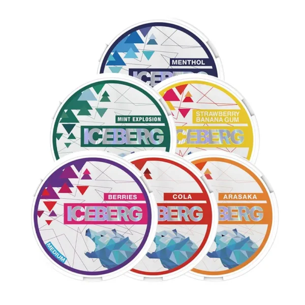 ICEBERG POUCHES